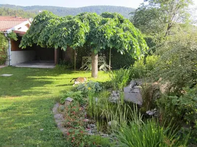 Jardin de l'établissement Gîte des Grands Clos