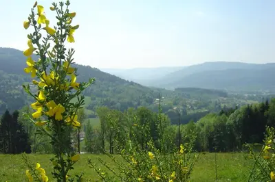 Paysage naturel près de la villa