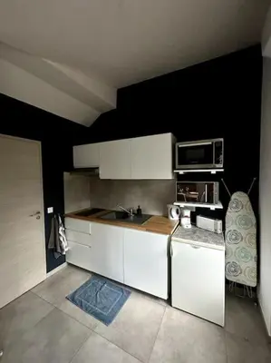 Cuisine ou kitchenette dans l'établissement Studio tout équipé aux pieds des Vosges
