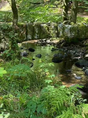 Paysage naturel près de la maison de vacances