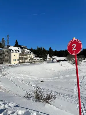 L'établissement Beau duplex vue sur le Lac Blanc en hiver
