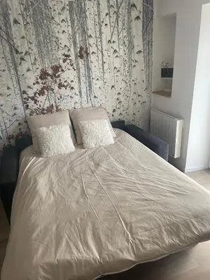 Un ou plusieurs lits dans un hébergement de l'établissement Beau duplex vue sur le Lac Blanc