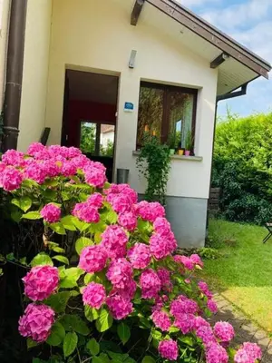 Jardin de l'établissement Appartement avec jardin centre ville de Belfort