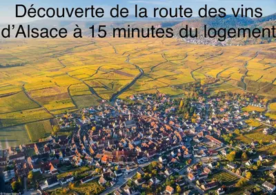Plan de l'établissement Studio tout confort, à 2 min de Colmar
