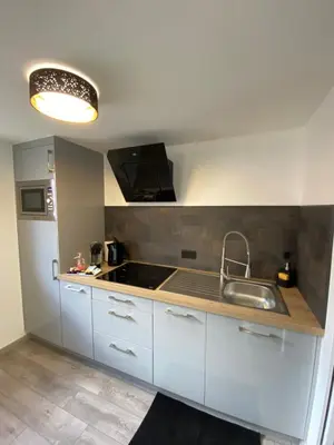 Cuisine ou kitchenette dans l'établissement Studio tout confort, à 2 min de Colmar