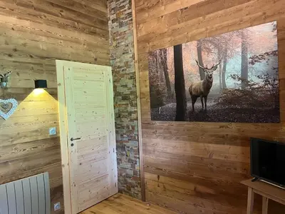 Télévision ou salle de divertissement dans l'établissement Chalet 10 pers sauna & SPA La tanière des Vosges