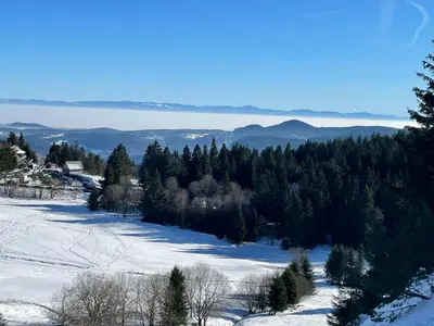 Paysage naturel près de l'appartement