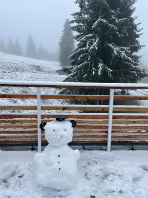 L'établissement Appartement au pied des pistes avec grande terrasse en hiver