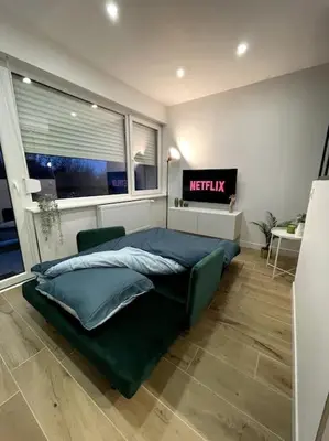 Un ou plusieurs lits dans un hébergement de l'établissement HOME GREEN TOUCH - Fibre*Near Basel*Cosy