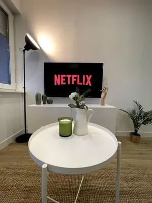 Télévision ou salle de divertissement dans l'établissement HOME GREEN TOUCH - Fibre*Near Basel*Cosy