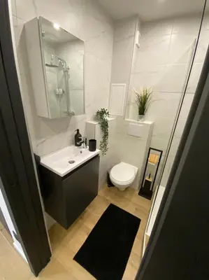 Salle de bains dans l'établissement BLACK TOUCH STUDIO - FIBRE*PARKING*NEAR BASEL