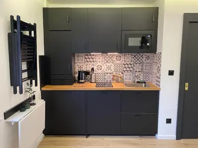 Cuisine ou kitchenette dans l'établissement BLACK TOUCH STUDIO - FIBRE*PARKING*NEAR BASEL