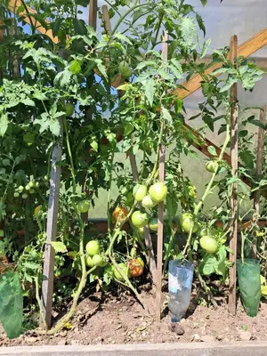 Jardin de l'établissement LE CROSERY Clim Rando Ski BBQ Voie Verte