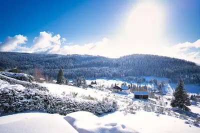 Paysage naturel près de le chalet