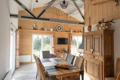 Télévision ou salle de divertissement dans l'établissement Chalet : Secteur Gérardmer.