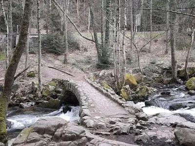 Paysage naturel près de l'appartement