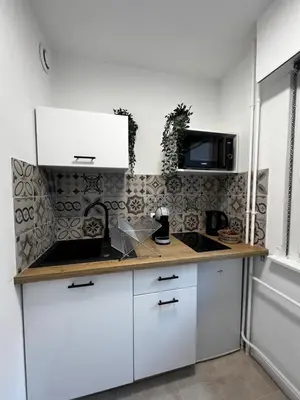 Cuisine ou kitchenette dans l'établissement Proche Centre Mulhouse - Studio cosy