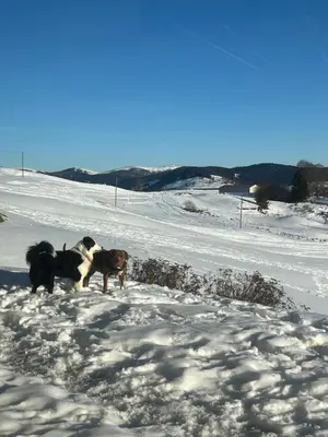L'établissement Les Hauts de la Piquante Pierre en hiver