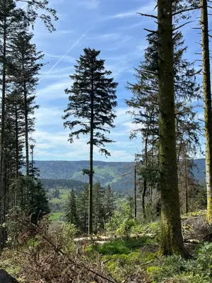 Paysage naturel près de la maison de vacances