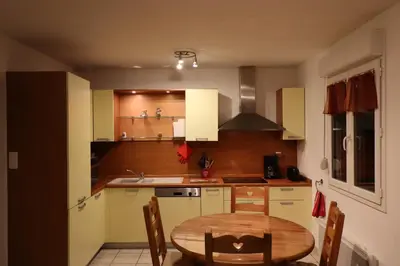 Cuisine ou kitchenette dans l'établissement Apartment Location Les balcons de La Mauselaine
