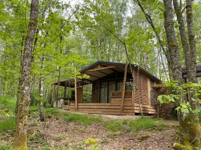 Jardin de l'établissement Vosges Hygge - Chalets Lodges & Spa