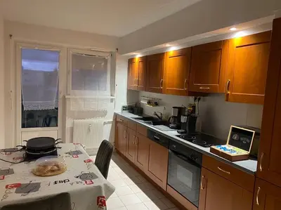 Cuisine ou kitchenette dans l'établissement 100m2 3chambres 5km du Carnaval de BASEL Free Wifi