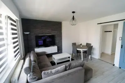 Coin salon dans l'établissement Agréable et Spacieux Appartement lumineux T4 ALSACE