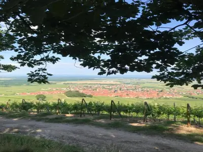 Paysage naturel près de l'appartement