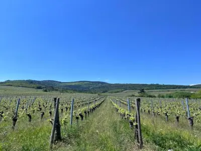 Paysage naturel près de l'appartement