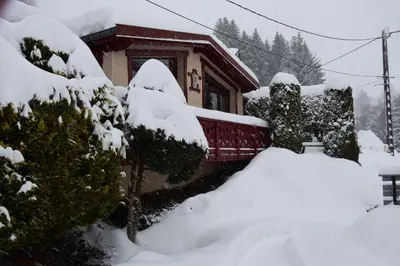 L'établissement Maison de style chalet individuelle Le Rouge Feigne à La Bresse en hiver
