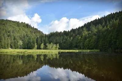 Paysage naturel près de le chalet