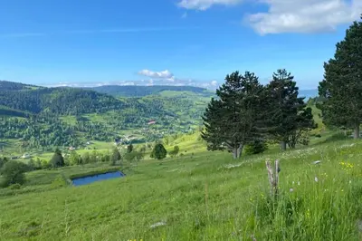 Paysage naturel près de le chalet