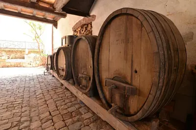 Plan de l'établissement Belle Maison Alsacienne de 1610