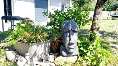 Jardin de l'établissement Maison avec terrasse