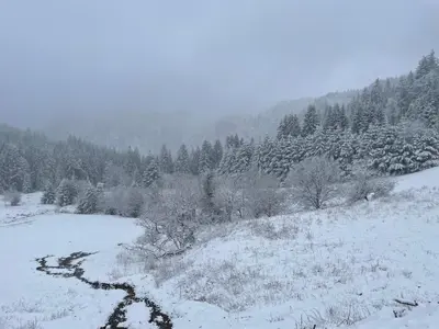 L'établissement Appartement 11 - Au cœur du Lac Blanc en hiver