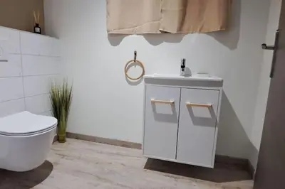 Salle de bains dans l'établissement Grand Appartement Cosy Chez Pépette à 5 min de Colmar