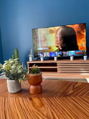 Télévision ou salle de divertissement dans l'établissement ClassicBlue, centre de Mulhouse