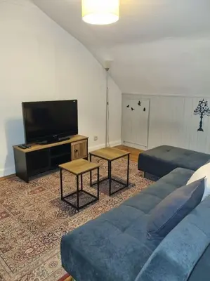 Télévision ou salle de divertissement dans l'établissement Appartement centre-ville (Chez Antoine)