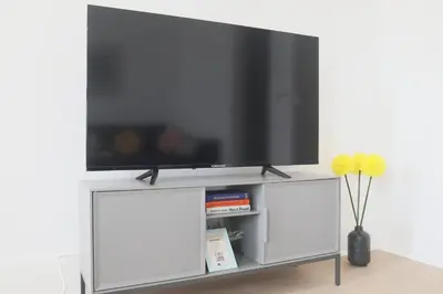 Télévision ou salle de divertissement dans l'établissement LE FUNNY, Mulhouse centre