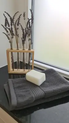 Plan de l'établissement Le Loft de Village-Neuf - Résidence 4 étoiles