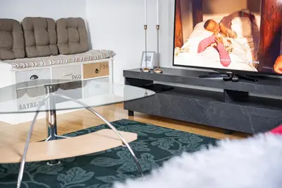 Télévision ou salle de divertissement dans l'établissement Flat at border suisse