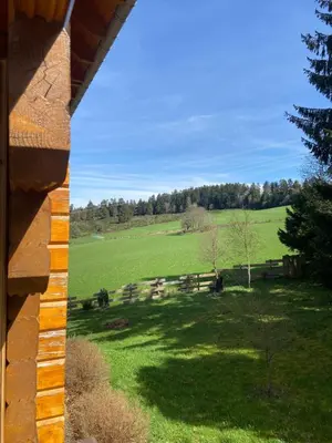 Paysage naturel près de le chalet