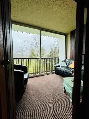 Coin salon dans l'établissement Le Seydrad, appartement vue nature, hauteurs de Gérardmer