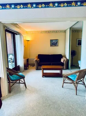 Coin salon dans l'établissement Le Seydrad, appartement vue nature, hauteurs de Gérardmer