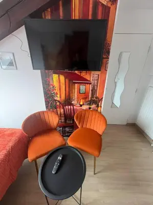 Télévision ou salle de divertissement dans l'établissement Esprit Italie, joli studio au coeur de Mulhouse