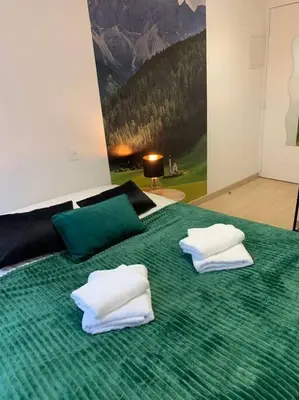 Un ou plusieurs lits dans un hébergement de l'établissement Esprit Suisse, Joli studio au coeur de Mulhouse