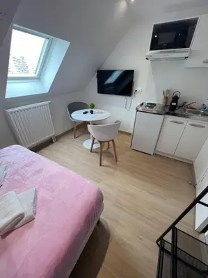 Cuisine ou kitchenette dans l'établissement Esprit France, joli studio au coeur de Mulhouse