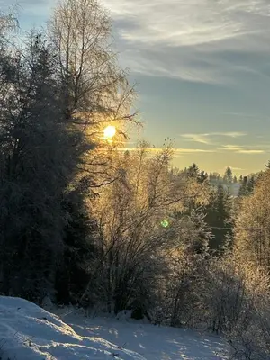 Paysage naturel près de le chalet