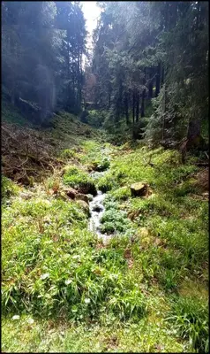 Paysage naturel près de l'appartement