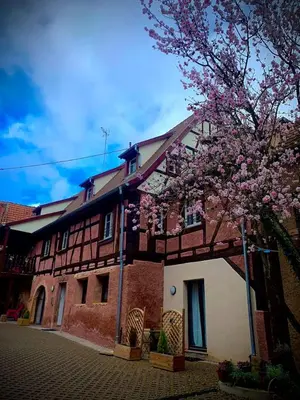 Bâtiment de l'appartement
